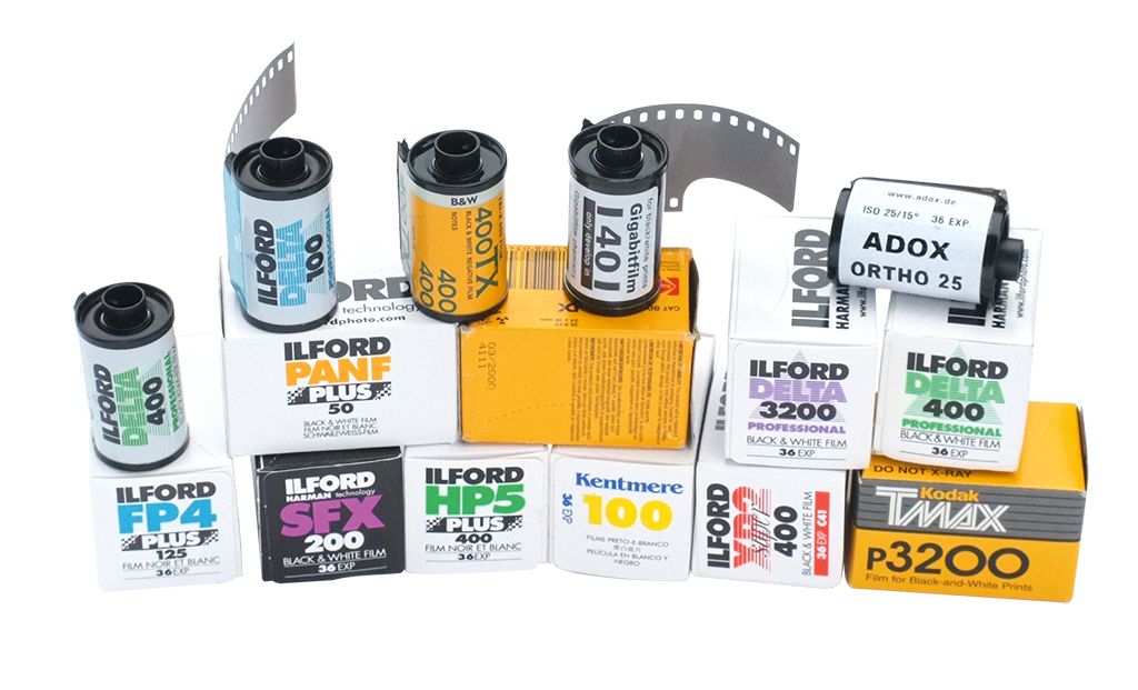 Cómo elegir el ISO, ASA o velocidad de la película? Rollos y carretes  analógicos